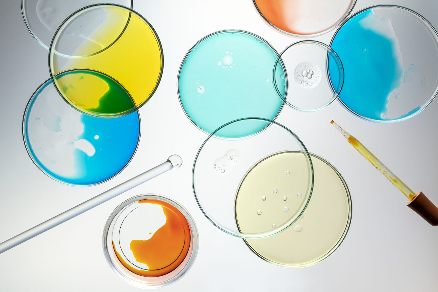 Science background wallpaper, petri dishes flat lay